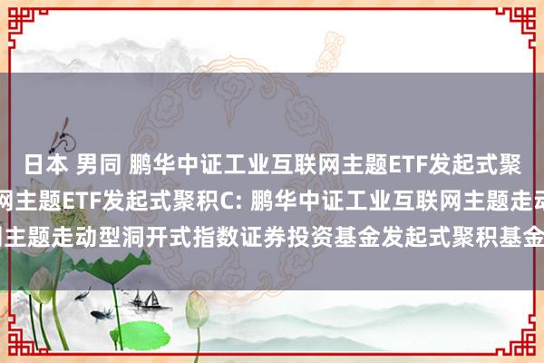 日本 男同 鹏华中证工业互联网主题ETF发起式聚积A,鹏华中证工业互联网主题ETF发起式聚积C: 鹏华中证工业互联网主题走动型洞开式指数证券投资基金发起式聚积基金2024年第3季度讲演