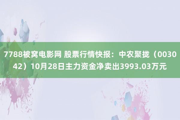 7788被窝电影网 股票行情快报：中农聚拢（003042）10月28日主力资金净卖出3993.03万元