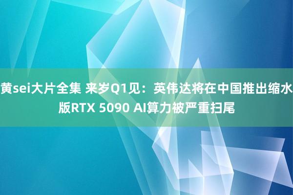 黄sei大片全集 来岁Q1见：英伟达将在中国推出缩水版RTX 5090 AI算力被严重扫尾