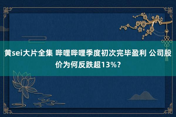 黄sei大片全集 哔哩哔哩季度初次完毕盈利 公司股价为何反跌超13%？