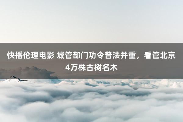 快播伦理电影 城管部门功令普法并重，看管北京4万株古树名木