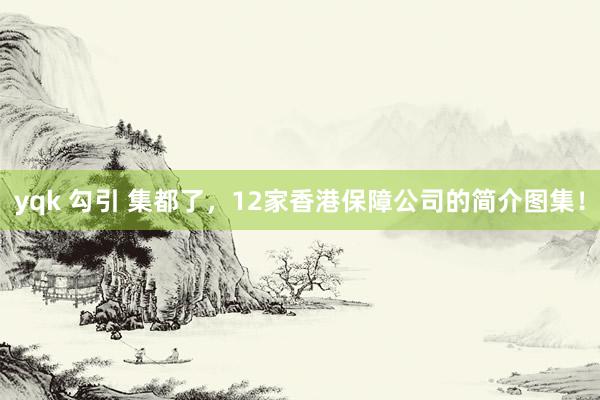 yqk 勾引 集都了，12家香港保障公司的简介图集！