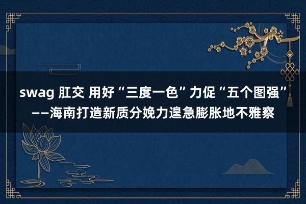 swag 肛交 用好“三度一色”力促“五个图强”——海南打造新质分娩力遑急膨胀地不雅察
