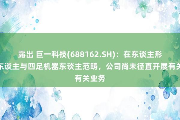 露出 巨一科技(688162.SH)：在东谈主形机器东谈主与四足机器东谈主范畴，公司尚未径直开展有关业务