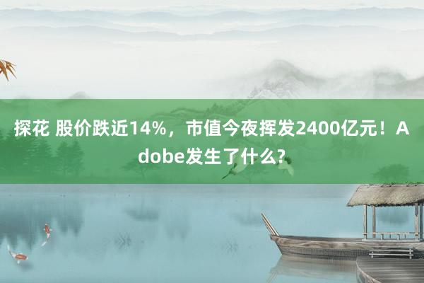 探花 股价跌近14%，市值今夜挥发2400亿元！Adobe发生了什么?
