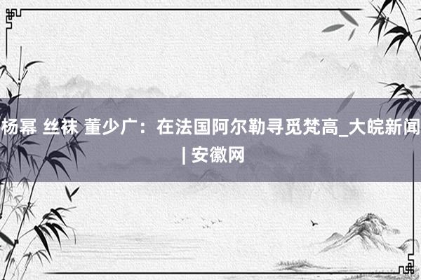 杨幂 丝袜 董少广：在法国阿尔勒寻觅梵高_大皖新闻 | 安徽网