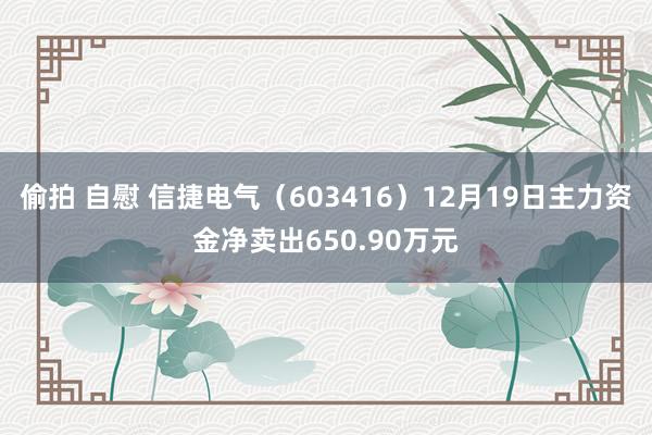 偷拍 自慰 信捷电气（603416）12月19日主力资金净卖出650.90万元