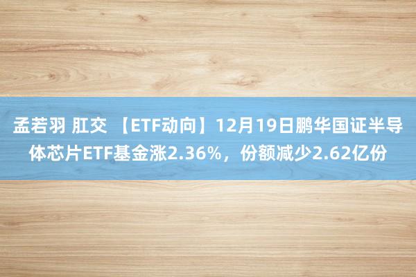 孟若羽 肛交 【ETF动向】12月19日鹏华国证半导体芯片ETF基金涨2.36%，份额减少2.62亿份