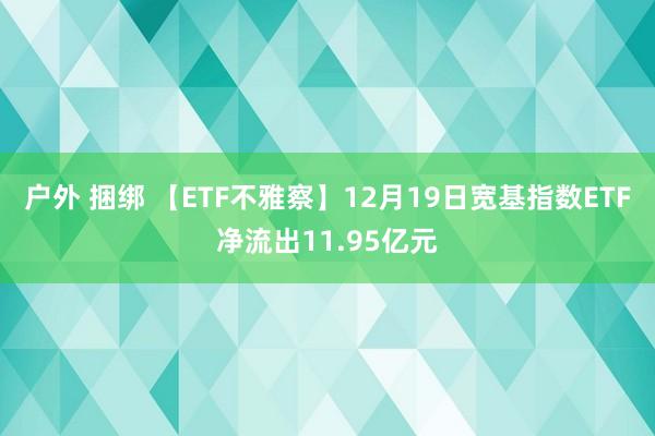 户外 捆绑 【ETF不雅察】12月19日宽基指数ETF净流出11.95亿元