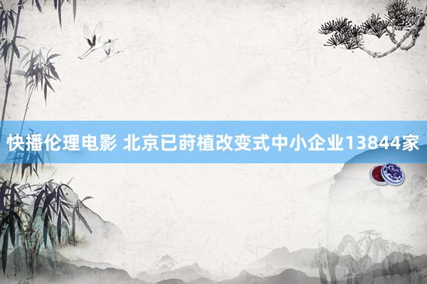快播伦理电影 北京已莳植改变式中小企业13844家