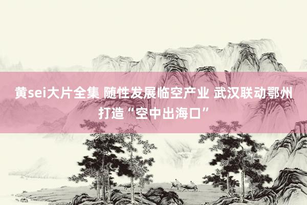 黄sei大片全集 随性发展临空产业 武汉联动鄂州打造“空中出海口”