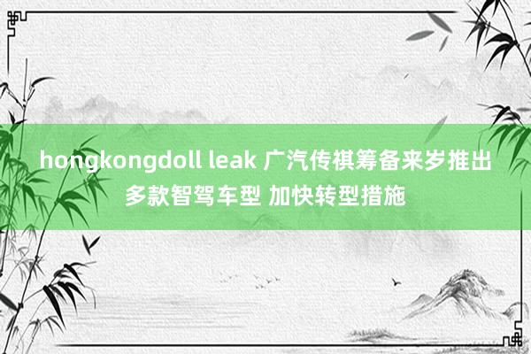 hongkongdoll leak 广汽传祺筹备来岁推出多款智驾车型 加快转型措施