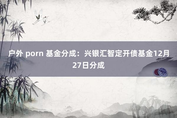 户外 porn 基金分成：兴银汇智定开债基金12月27日分成