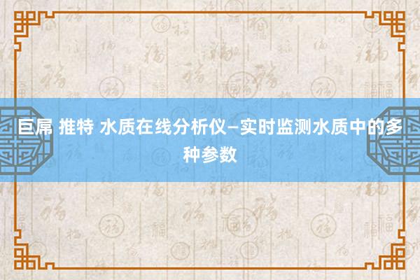 巨屌 推特 水质在线分析仪—实时监测水质中的多种参数
