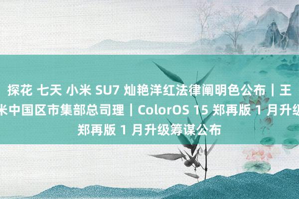 探花 七天 小米 SU7 灿艳洋红法律阐明色公布｜王腾升任小米中国区市集部总司理｜ColorOS 15 郑再版 1 月升级筹谋公布