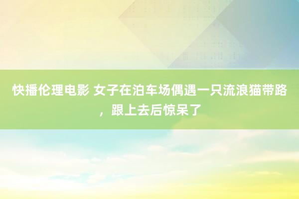 快播伦理电影 女子在泊车场偶遇一只流浪猫带路，跟上去后惊呆了