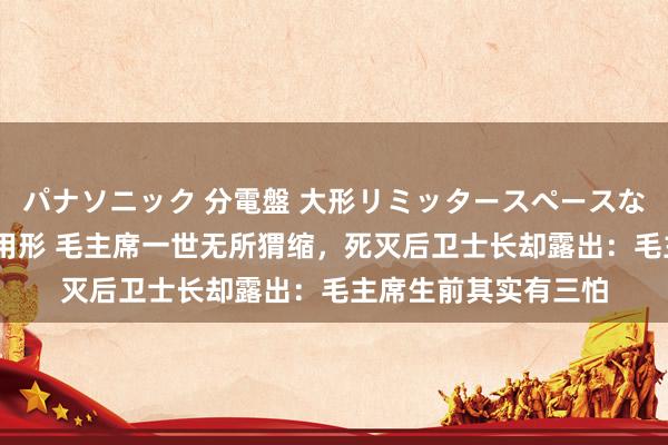 パナソニック 分電盤 大形リミッタースペースなし 露出・半埋込両用形 毛主席一世无所猬缩，死灭后卫士长却露出：毛主席生前其实有三怕