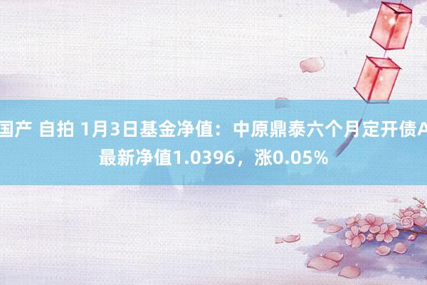 国产 自拍 1月3日基金净值：中原鼎泰六个月定开债A最新净值1.0396，涨0.05%