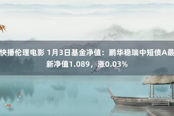 快播伦理电影 1月3日基金净值：鹏华稳瑞中短债A最新净值1.089，涨0.03%