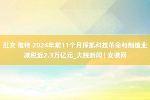 肛交 推特 2024年前11个月撑抓科技革命和制造业减税近2.3万亿元_大皖新闻 | 安徽网
