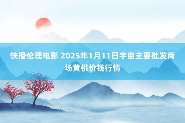 快播伦理电影 2025年1月11日宇宙主要批发商场黄桃价钱行情