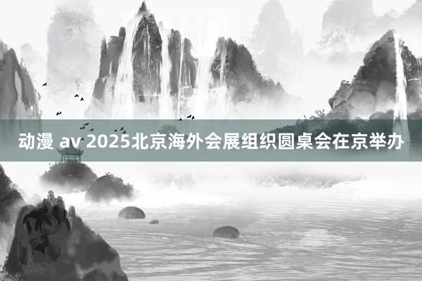 动漫 av 2025北京海外会展组织圆桌会在京举办