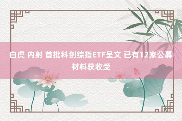 白虎 内射 首批科创综指ETF呈文 已有12家公募材料获收受