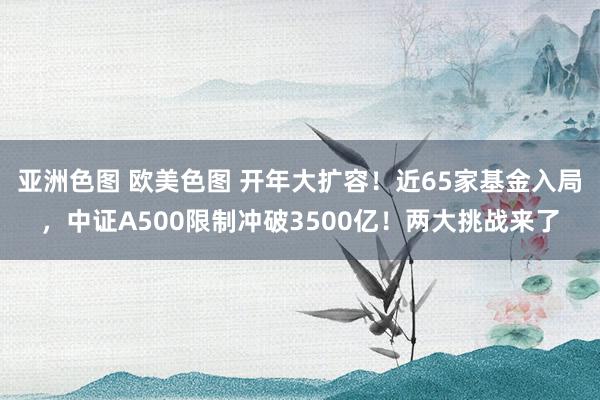 亚洲色图 欧美色图 开年大扩容！近65家基金入局，中证A500限制冲破3500亿！两大挑战来了