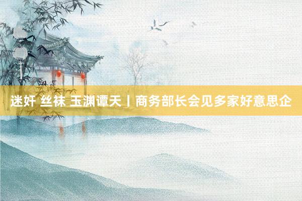 迷奸 丝袜 玉渊谭天丨商务部长会见多家好意思企