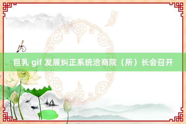 巨乳 gif 发展纠正系统洽商院（所）长会召开