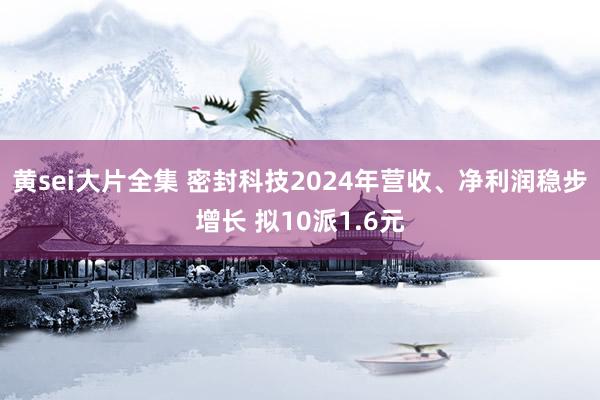 黄sei大片全集 密封科技2024年营收、净利润稳步增长 拟10派1.6元