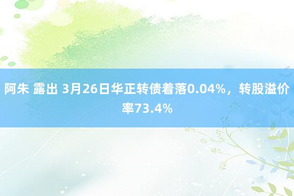 阿朱 露出 3月26日华正转债着落0.04%,转股溢价率73.4%