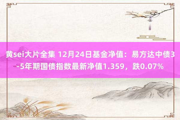 黄sei大片全集 12月24日基金净值：易方达中债3-5年期国债指数最新净值1.359，跌0.07%