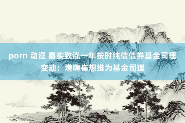 porn 动漫 嘉实致泓一年按时纯债债券基金司理变动：增聘崔想维为基金司理
