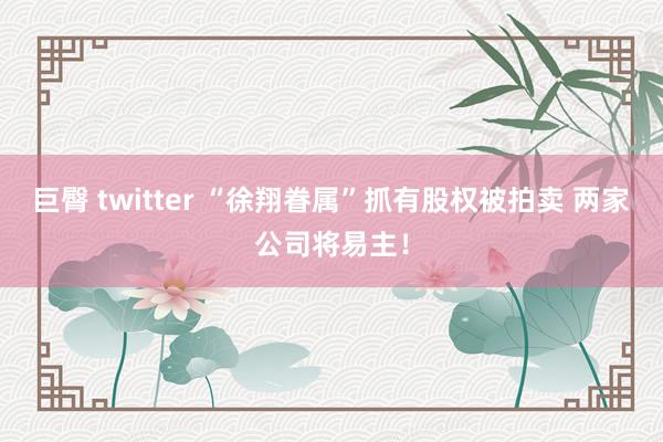 巨臀 twitter “徐翔眷属”抓有股权被拍卖 两家公司将易主！