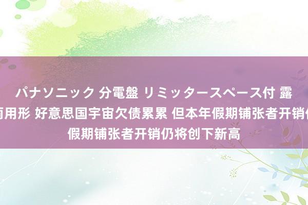 パナソニック 分電盤 リミッタースペース付 露出・半埋込両用形 好意思国宇宙欠债累累 但本年假期铺张者开销仍将创下新高
