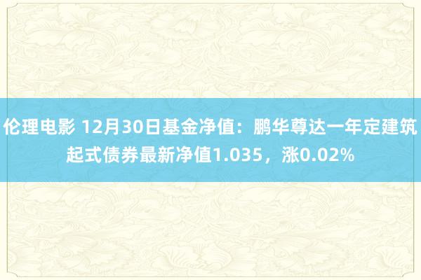 伦理电影 12月30日基金净值：鹏华尊达一年定建筑起式债券最新净值1.035，涨0.02%