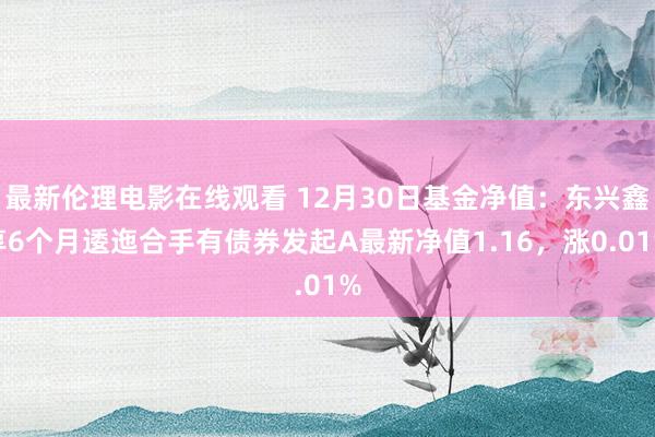 最新伦理电影在线观看 12月30日基金净值：东兴鑫享6个月逶迤合手有债券发起A最新净值1.16，涨0.01%