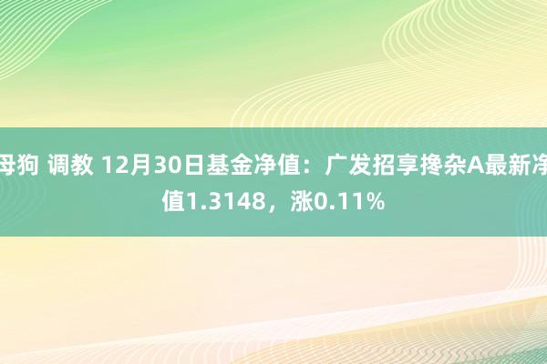 母狗 调教 12月30日基金净值：广发招享搀杂A最新净值1.3148，涨0.11%