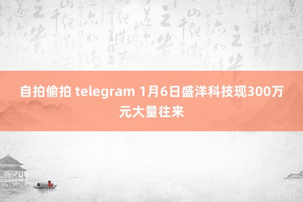 自拍偷拍 telegram 1月6日盛洋科技现300万元大量往来