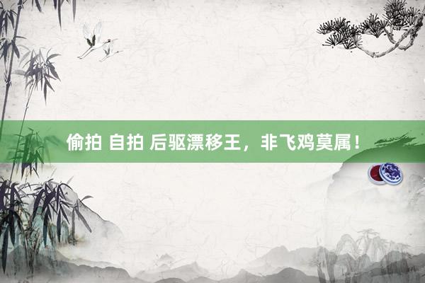 偷拍 自拍 后驱漂移王，非飞鸡莫属！