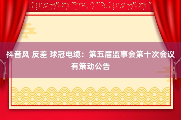 抖音风 反差 球冠电缆：第五届监事会第十次会议有策动公告