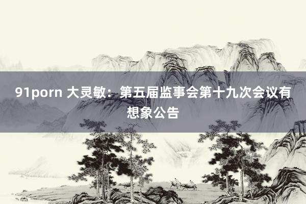 91porn 大灵敏：第五届监事会第十九次会议有想象公告