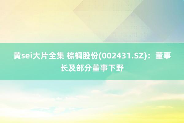 黄sei大片全集 棕榈股份(002431.SZ)：董事长及部分董事下野