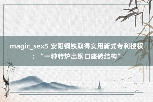 magic_sex5 安阳钢铁取得实用新式专利授权：“一种转炉出钢口座砖结构”