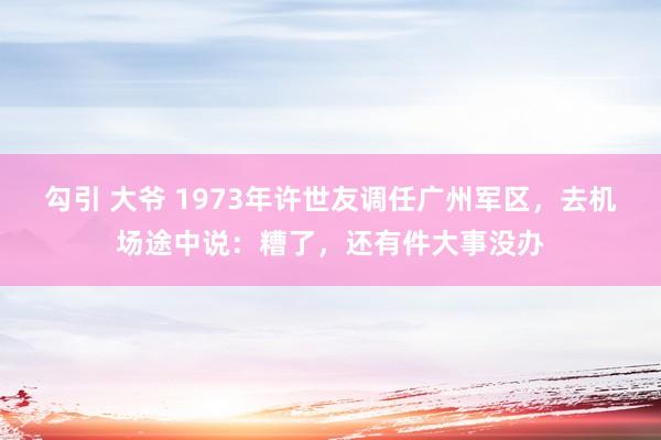 勾引 大爷 1973年许世友调任广州军区，去机场途中说：糟了，还有件大事没办