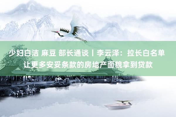 少妇白洁 麻豆 部长通谈丨李云泽：拉长白名单 让更多安妥条款的房地产面貌拿到贷款