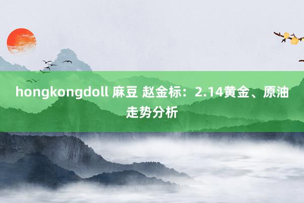 hongkongdoll 麻豆 赵金标：2.14黄金、原油走势分析