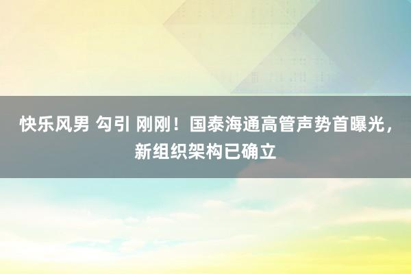 快乐风男 勾引 刚刚！国泰海通高管声势首曝光，新组织架构已确立