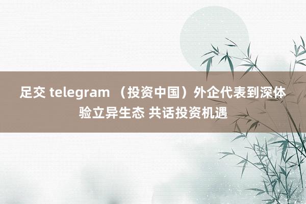 足交 telegram （投资中国）外企代表到深体验立异生态 共话投资机遇
